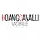 hoangcavalli