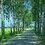 lang_khach74
