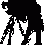 ngtrungha