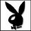 whiterabbit